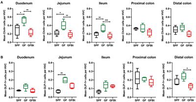 Regulation of Enteroendocrine Cell Networks by the Major Human Gut Symbiont <mark class="highlighted">Bacteroides thetaiotaomicron</mark>